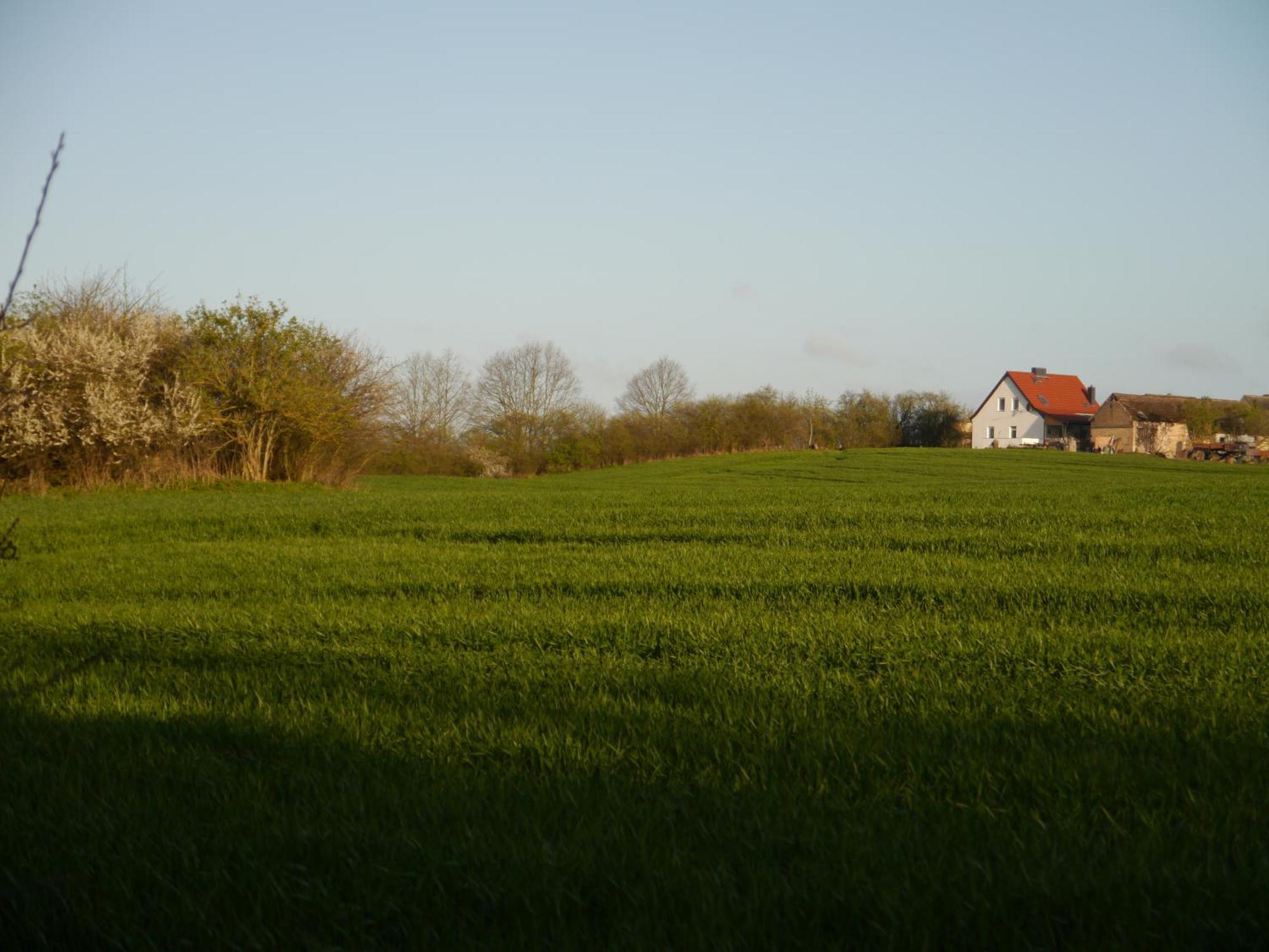 Ferienhaus-Uckermarkblick Rosenow  Экстерьер фото